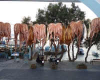 Köstlich und frischer Fisch