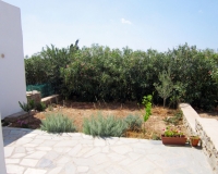 The garden in the back of the house