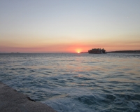 IMG_2761.jpg